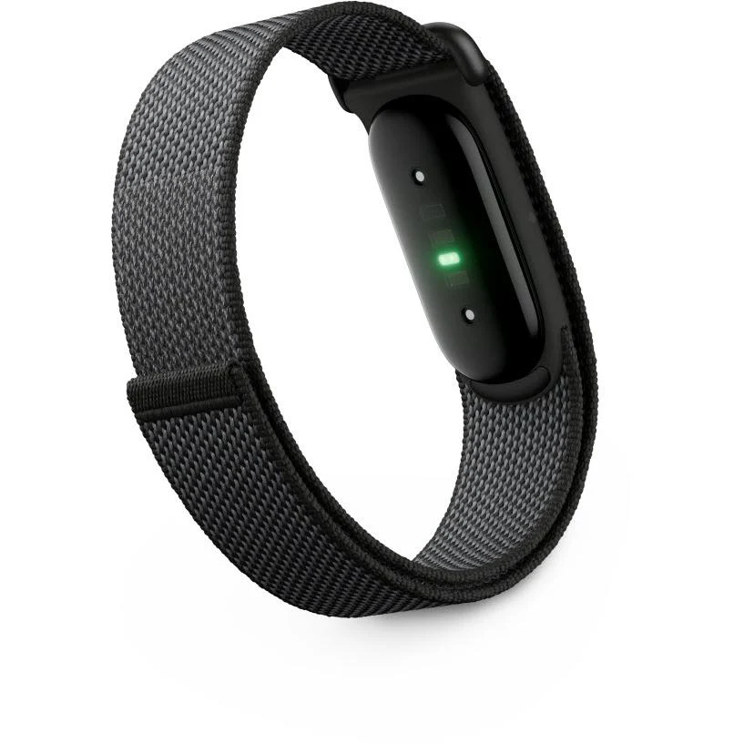 - Google Fitbit Air Fitness Band